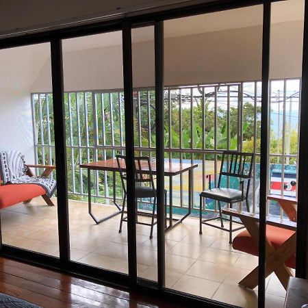 Cockatoo Studio Apartments 마누엘안토니오 외부 사진