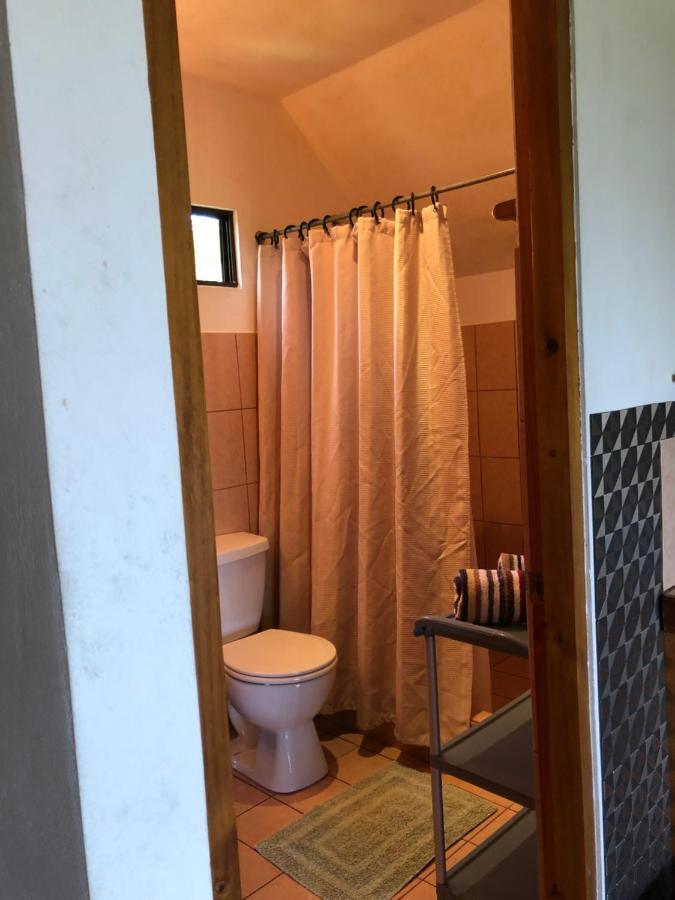 Cockatoo Studio Apartments 마누엘안토니오 외부 사진